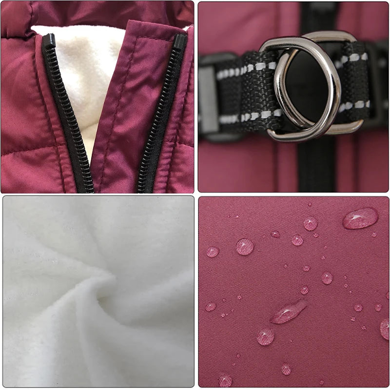 Winter Essentials ❄️❄️