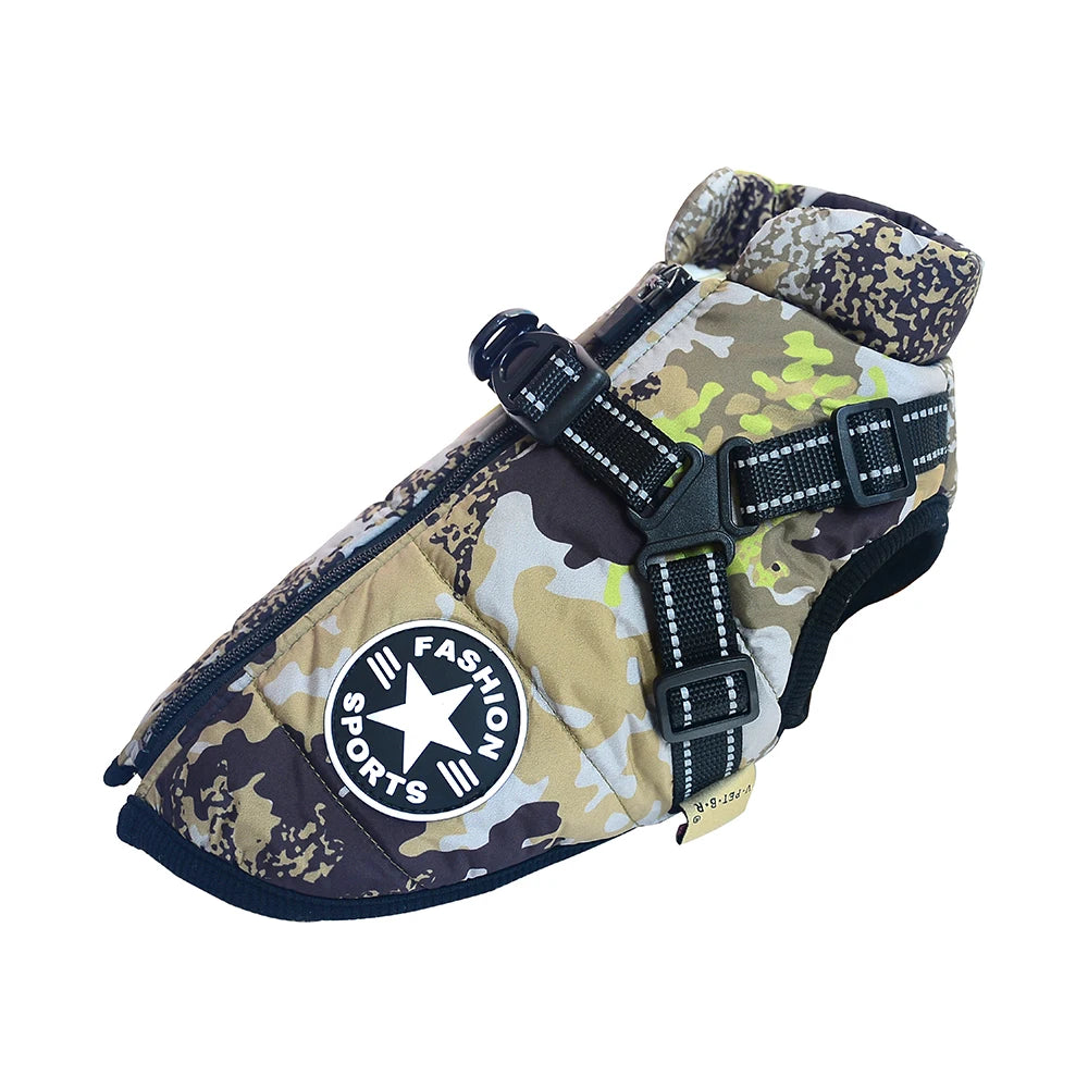 Winter Essentials ❄️❄️