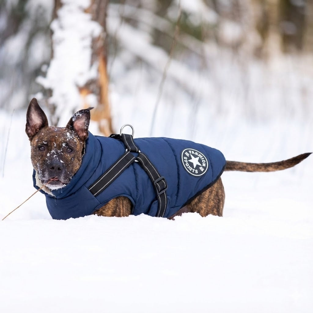 Winter Essentials ❄️❄️